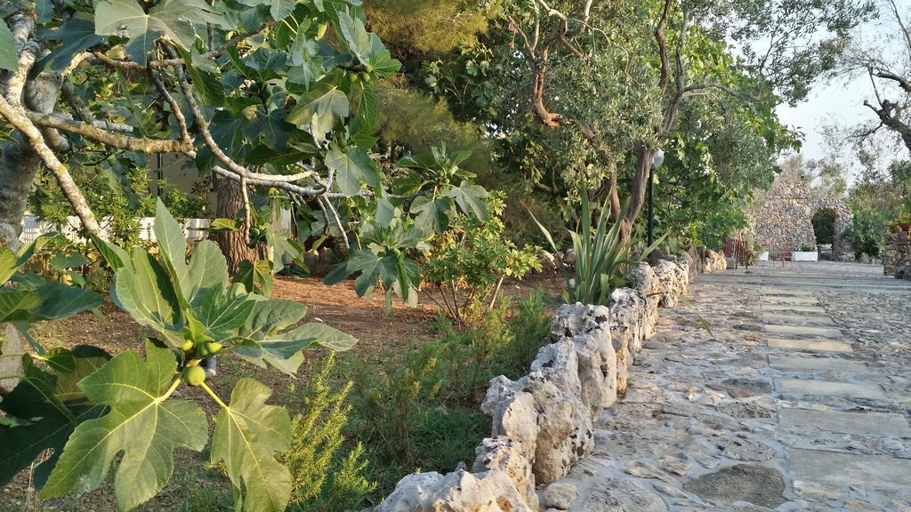 Tenuta La Siesta Alloggio per agriturismo *
