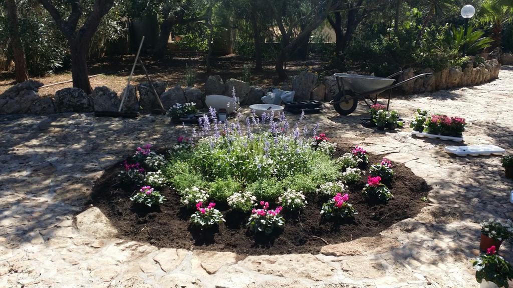 Alloggio per agriturismo Tenuta La Siesta Gallipoli