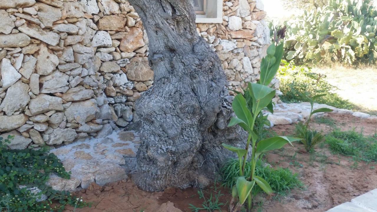 Alloggio per agriturismo Tenuta La Siesta Gallipoli