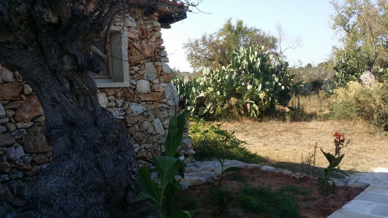 Alloggio per agriturismo Tenuta La Siesta *