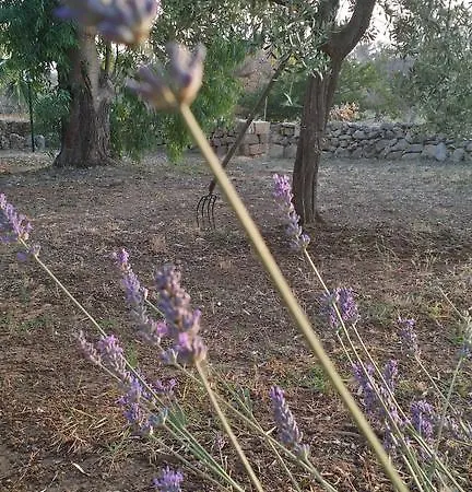 Agriturismo Tenuta La Siesta Gallipoli Exterior photo