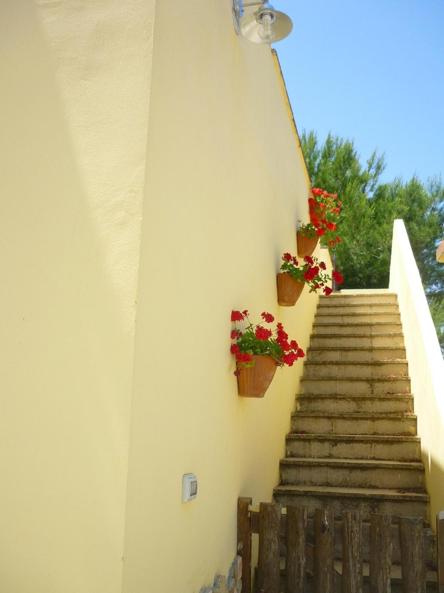 Tenuta La Siesta