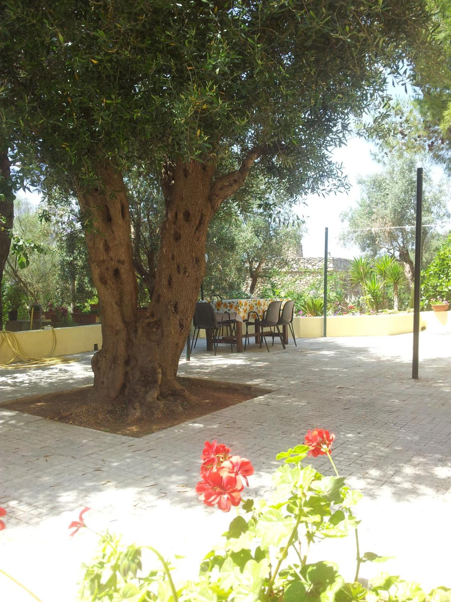 Agroturismo Tenuta La Siesta *