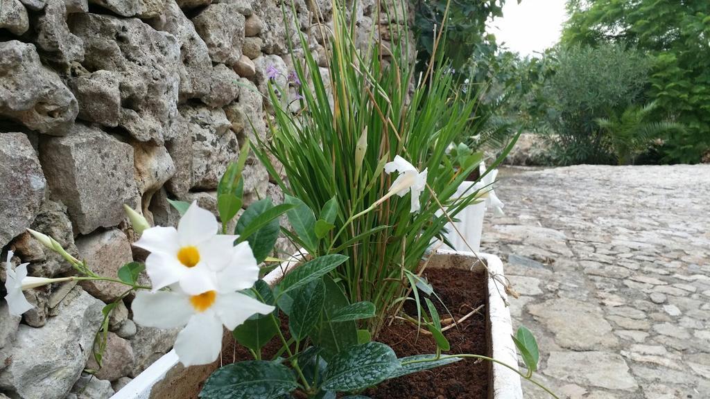 Tenuta La Siesta * Gallipoli
