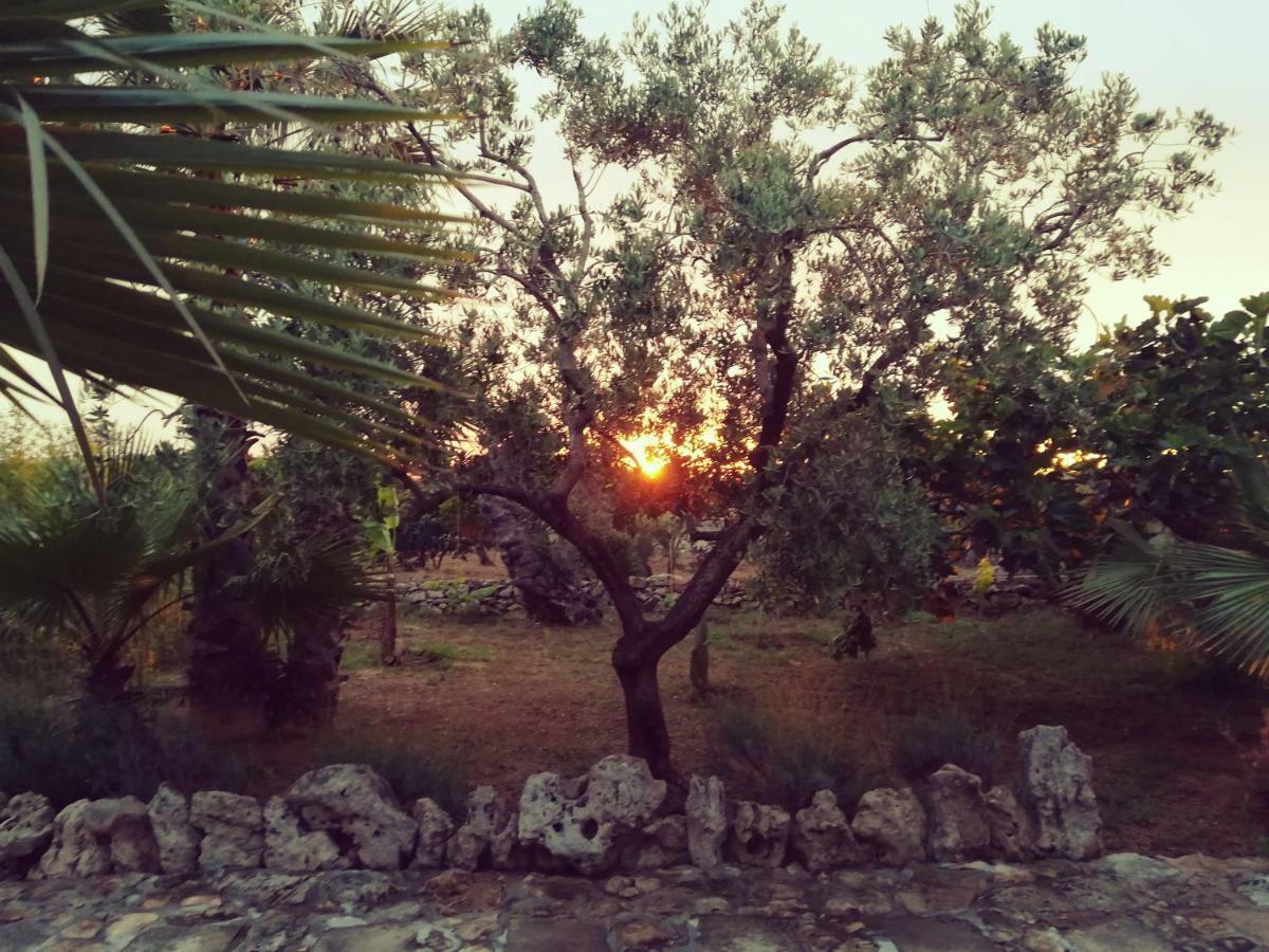 Tenuta La Siesta Gallipoli