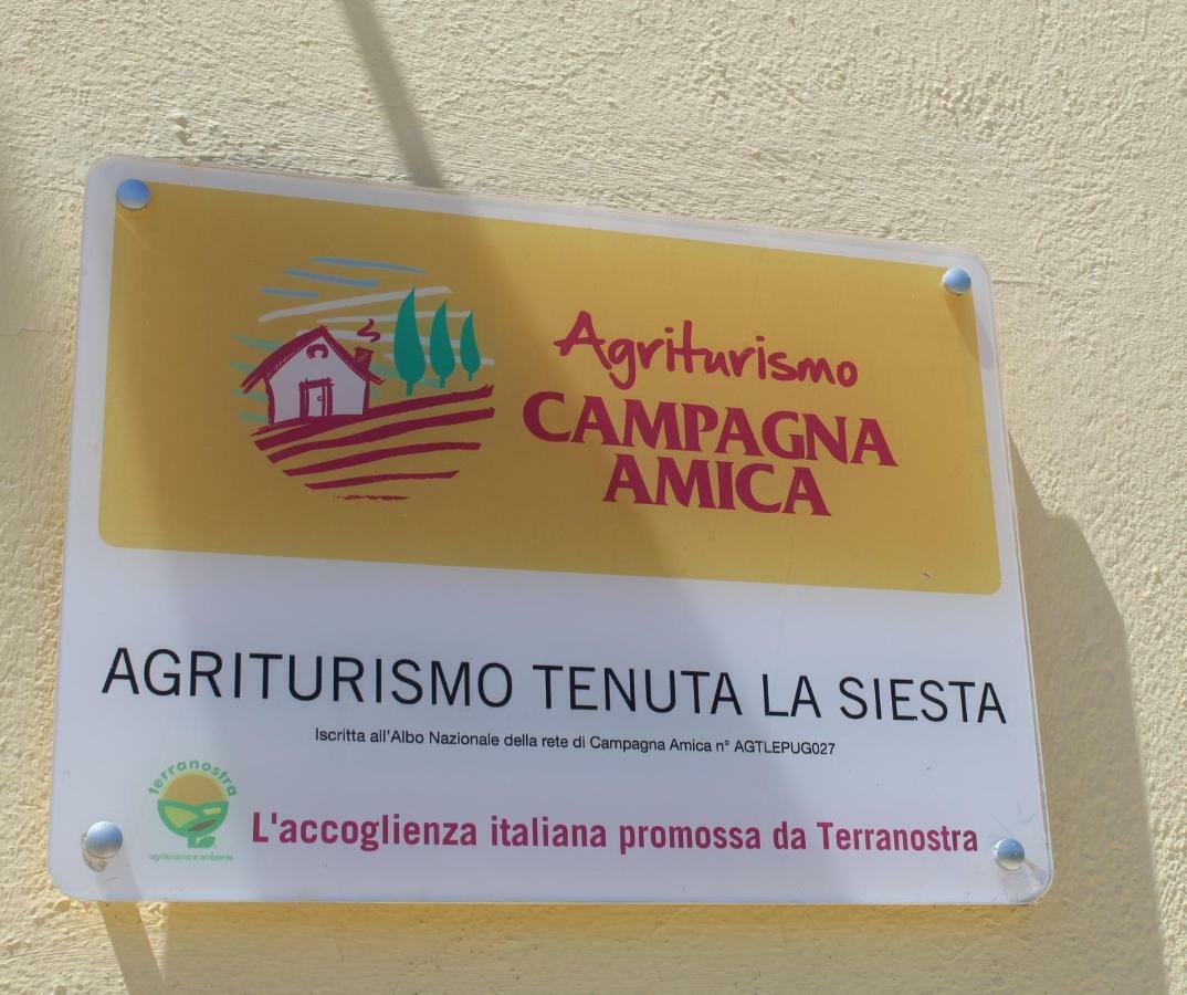 Alojamento de Turismo Rural Tenuta La Siesta *