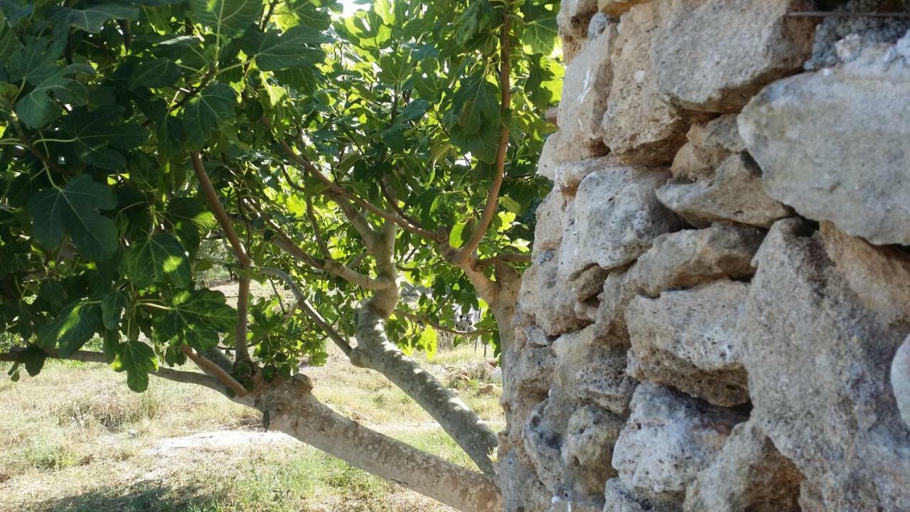 Alojamento de Turismo Rural Tenuta La Siesta Gallipoli